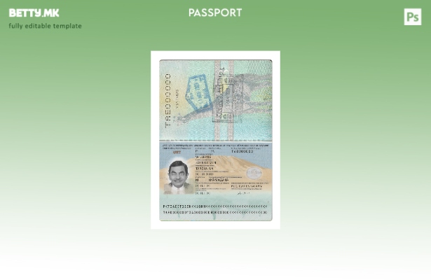 модерен стил Танзанија пасош нов сегашен шаблон